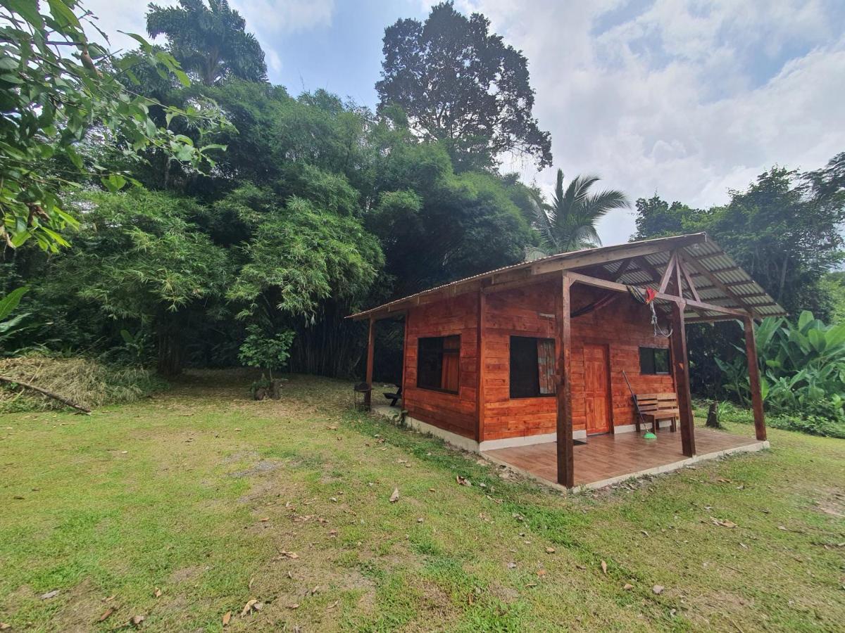 Into The Greens Madre de Dios Exterior foto